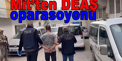 YALOVA DAHİL 39 İLDE DEAŞ OPERASYONU 361 ŞÜPHELİ GÖZALTINDA