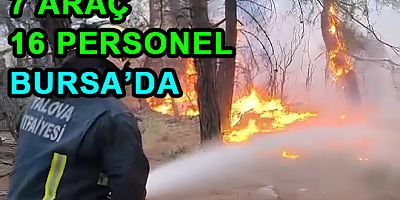 YALOVA’DAN BURSA'YA ORMAN YANGINI DESTEĞİ
