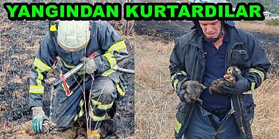 YALOVA İTFAİYESİ YANGINDAN KAPLUBAĞALARI KURTARDI