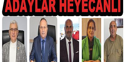 #yalova #kentkonseyi #ytso #oy #seçim