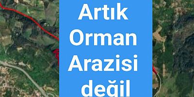 YALOVA KİRAZLI'DA ORMAN ARAZİSİ STATÜSÜ DEĞİŞTİ