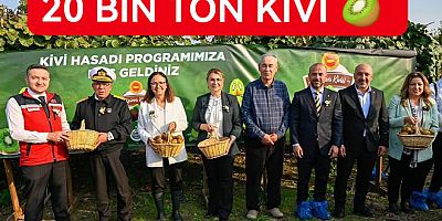 YALOVA KİVİSİNDE 20 BİN TONLUK REKOLTE BEKLİYORUZ
