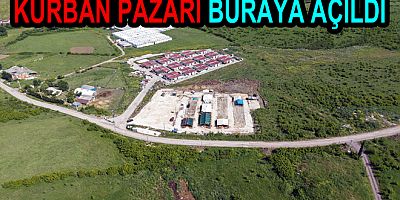 YALOVA  KURBAN PAZARI KAZİMİYEDE KURULDU
