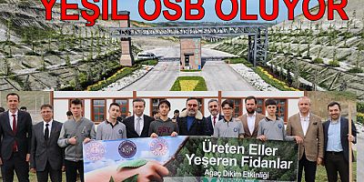 YALOVA MAKİNE İHTİSAS OSB DAHA DA YEŞİLLENİYOR