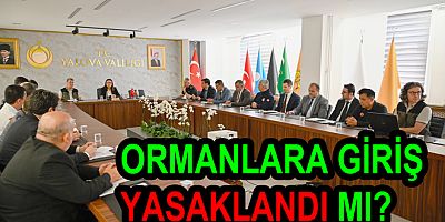 YALOVA ORMANLARINDA İZİN ALINMADAN HİÇ BİR ETKİNLİK YAPILMAYACAK