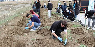 YALOVA OSB ALANINA ÖĞRENCİLER FİDAN DİKTİ
