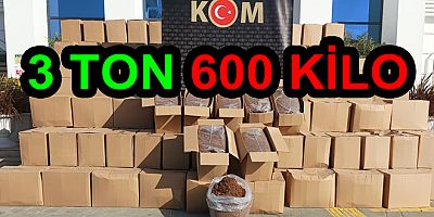 YALOVA POLİSİ KAÇAK TÜTÜNE GEÇİT VERMEDİ