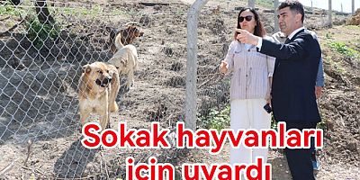 YALOVA VALİSİ SOKAK HAYVANLARI İÇİN UYARDI