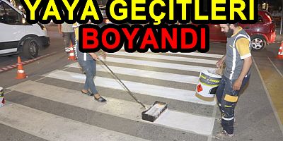 YALOVADA YAYA GEÇİTLERİ BOYANIYOR