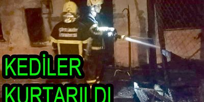 YANAN EVDEN KEDİLER KURTARILDI