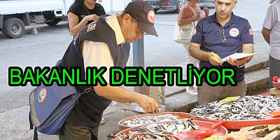 YASA DIŞI SU ÜRÜNLERİ AVCILIĞI DENETLENİYOR