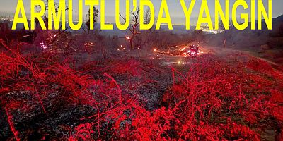 YAZ GELMEDEN YALOVA DA YANGIN BAŞLADI