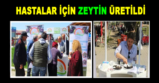 TANSİYON VE ŞEKER HASTALARI İÇİN ZEYTİN ÜRETİLDİ