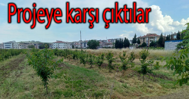 Tema Millet bahçesine karşı