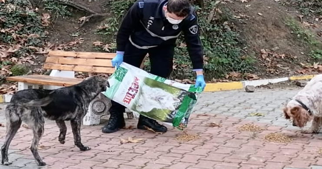 Termal de hayvanlara mama dağıtıldı