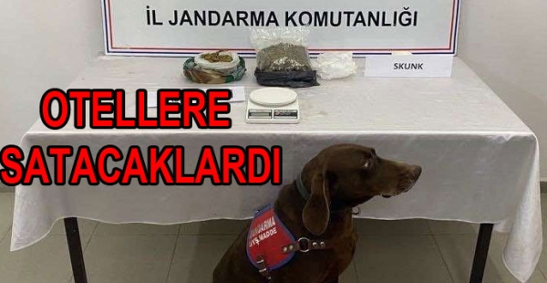 TERMAL DE OTELLERDE UYUŞTURCU SATACAKLARDI