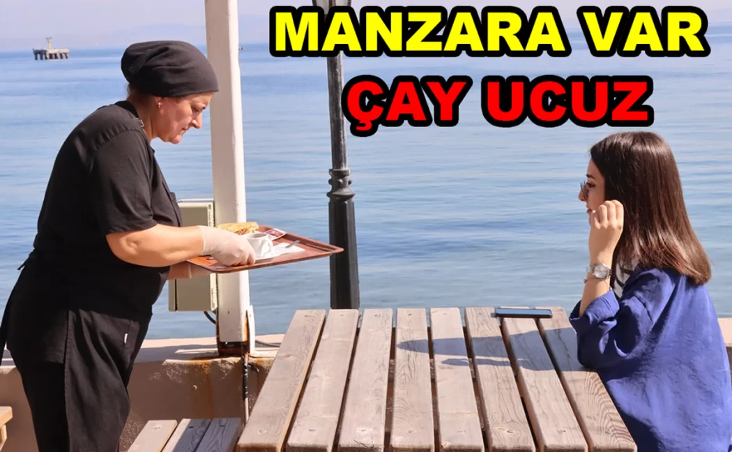 TİGEM ÇAY BAHÇESİNE İLGİ VAR