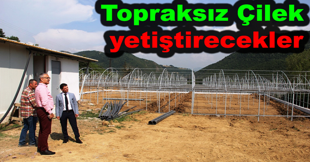 Topraksız Çilek yetiştirecekler