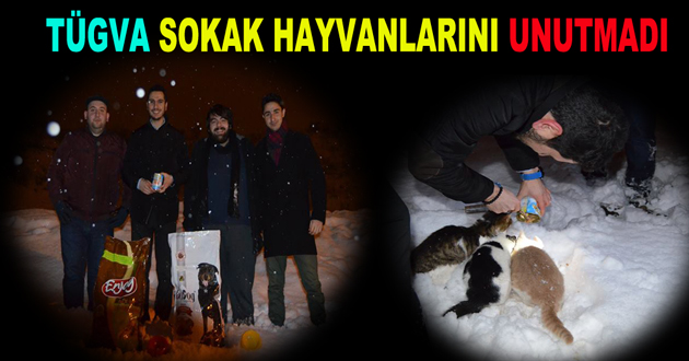 TÜGVA SOKAK HAYVANLARINI UNUTMADI