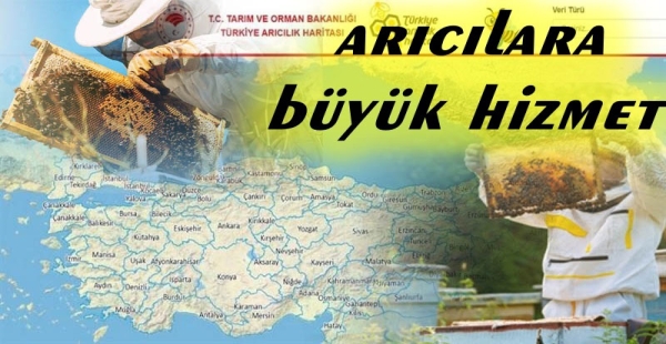 TÜRKİYE'NİN ARICILIK HARİTASI AÇIKLANDI
