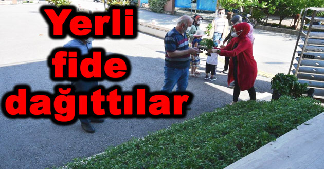 Ücretsiz yerli tohum fideleri dağıtıldı