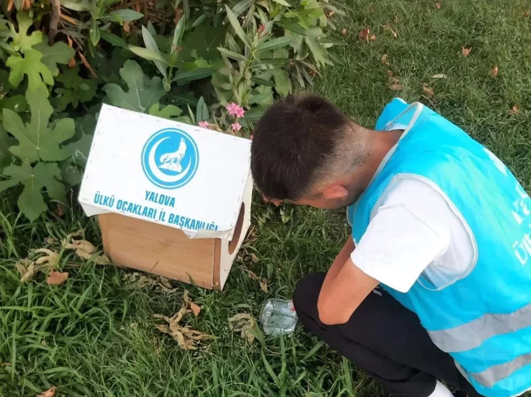 Ülkü Ocakları Sokak Hayvanları Unutmadı