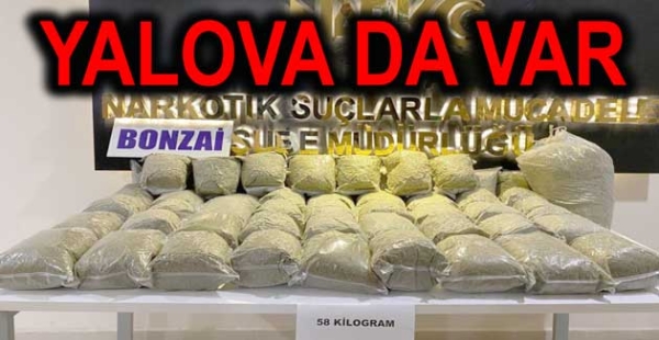 Uyuşturucu operasyonu Yalova da da yapıldı