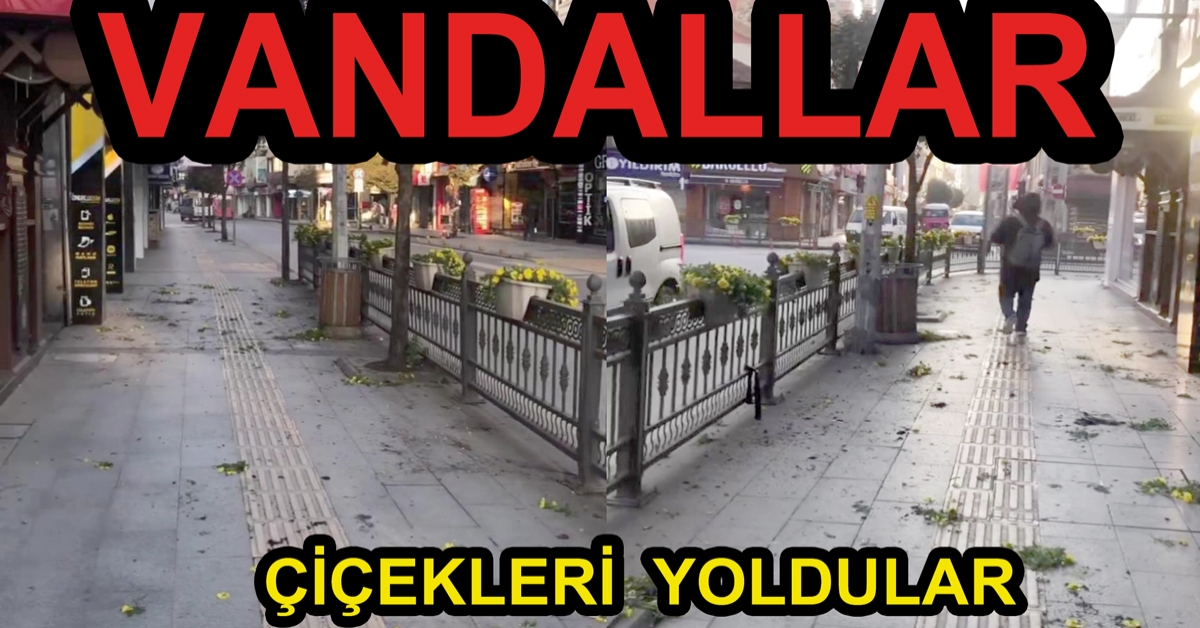 VANDALLAR ÇİÇEKLERİ KOPARTTI