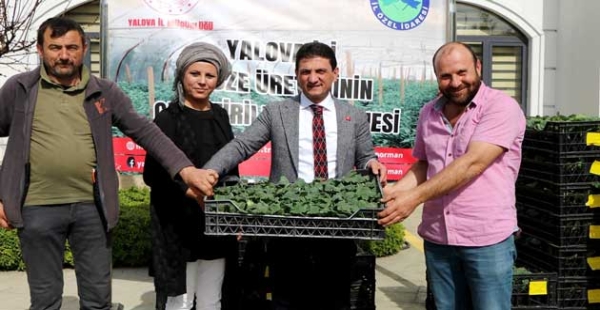 ​VATANDAŞ KABAĞA DOYACAK