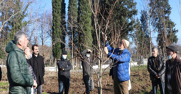 Verimli budamayı öğrettiler