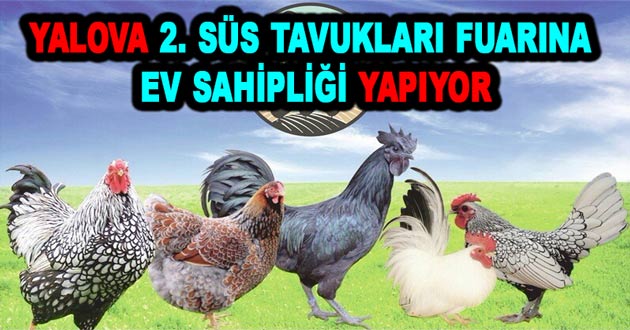 YALOVA 2. SÜS TAVUKLARI FUARINA EV SAHİPLİĞİ YAPIYOR