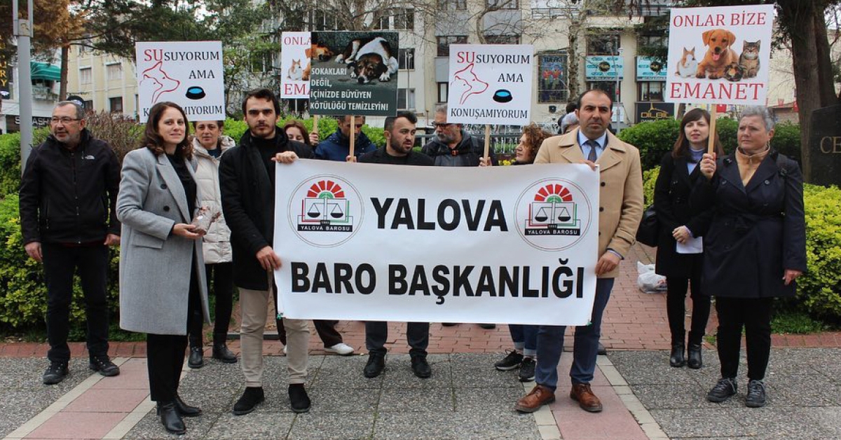 YALOVA BAROSU HAYVAN HAKLARINA DİKKAT ÇEKTİ
