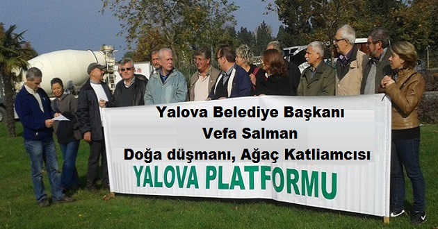 Yalova Belediye Başkanı Vefa Salman Doğa düşmanı, Ağaç Katliamcısı