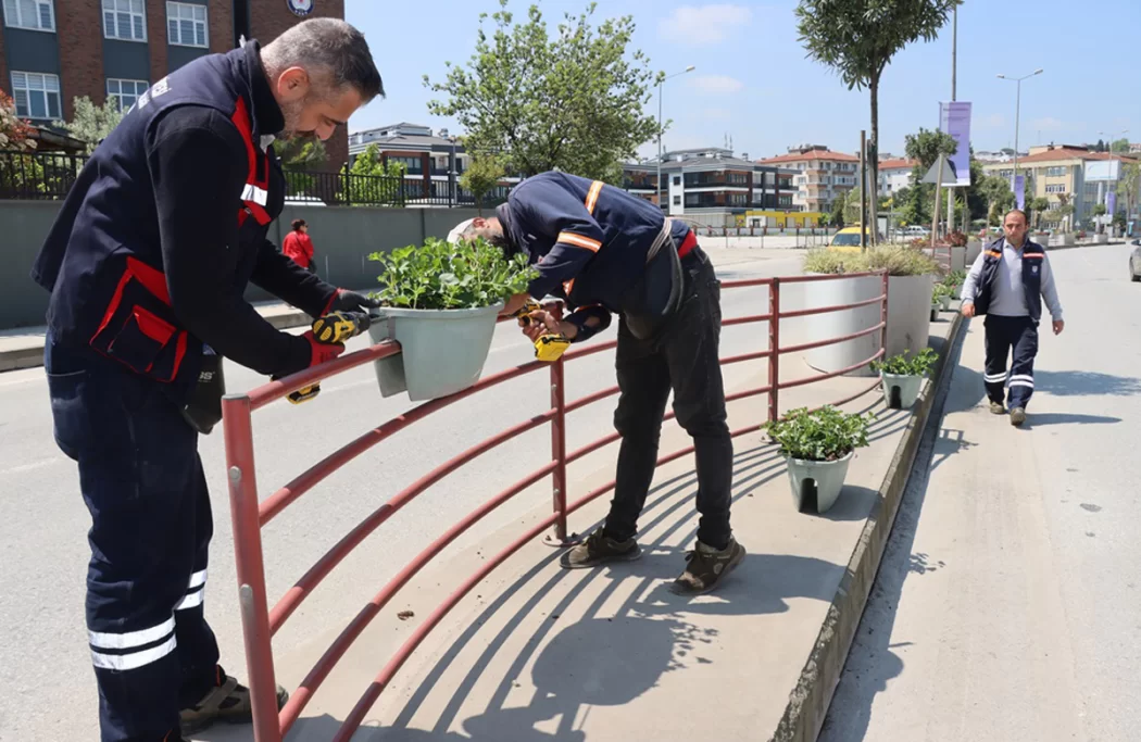 YALOVA BELEDİYESİ ÇİÇEKLENDİRİYOR