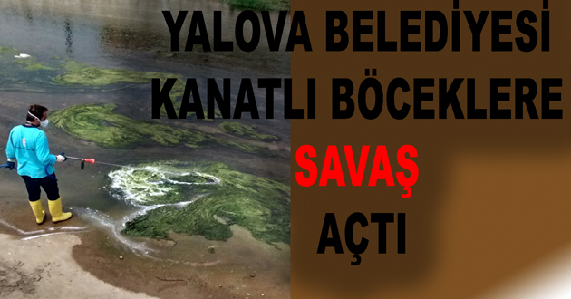 YALOVA BELEDİYESİ KANATLI BÖCEKLERE SAVAŞ AÇTI