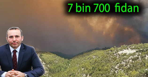 Yalova Belediyesi’nden Fidan Kampanyası