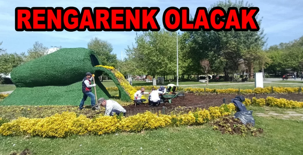 YALOVA ÇİÇEK AÇAÇAK