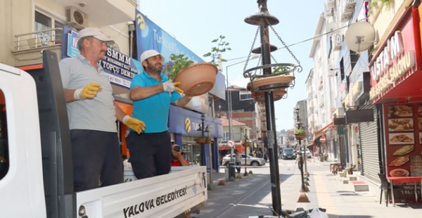 YALOVA ÇİÇEK AÇIYOR