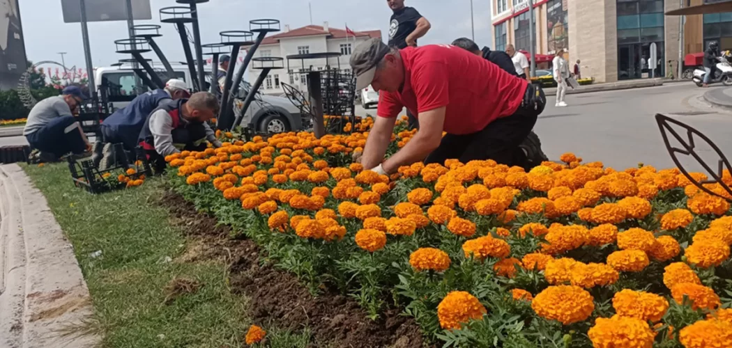 YALOVA ÇİÇEK AÇTI