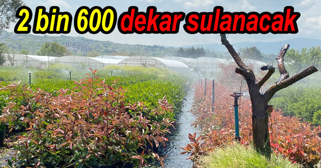 Yalova da 2 bin 600 dekar sulanacak