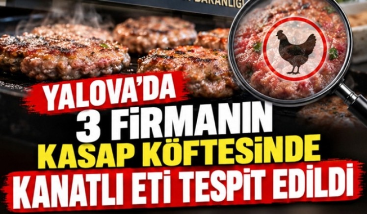 YALOVA’DA 3 FİRMANIN KASAP KÖFTESİNDE KANATLI ETİ TESPİT EDİLDİ
