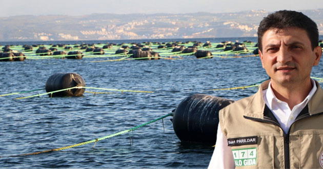 Yalova da 3 tesiste Midye yetiştirilecek