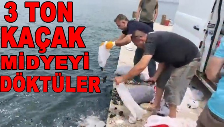 YALOVA’DA 3 TON KAÇAK MİDYE DENİZE DÖKÜLDÜ