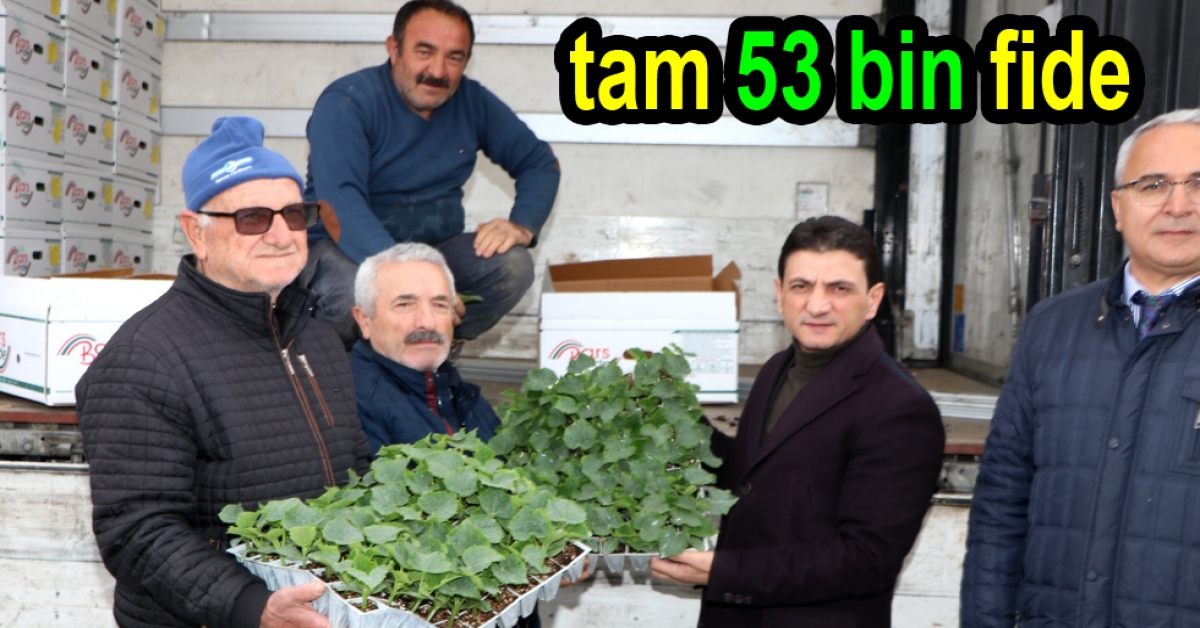 Yalova da 53 bin hıyar fidesi dağıtıldı
