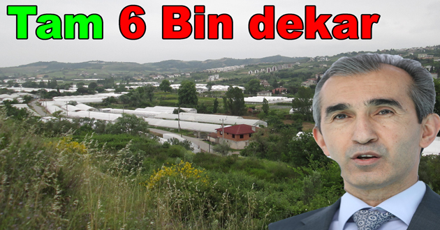 Yalova da 6 Bin dekar sulandı