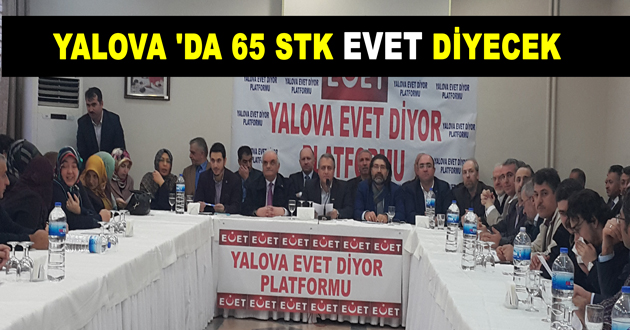 YALOVA 'DA 65 STK EVET DİYECEK