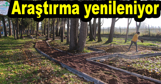 Yalova da Araştırıma sahili yenileniyor