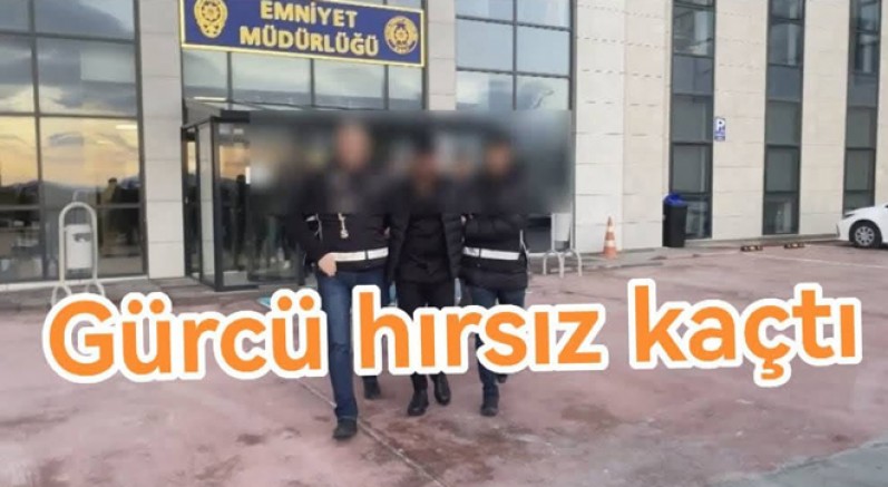YALOVA’DA CEZA ALAN GÜRCİSTAN VATANDAŞI ÜLKEYİ TERK ETTİ