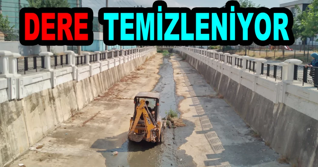 YALOVA DA DERE TEMİZLENİYOR