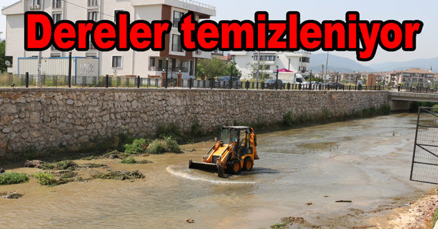 Yalova da derelere yaz temizliği